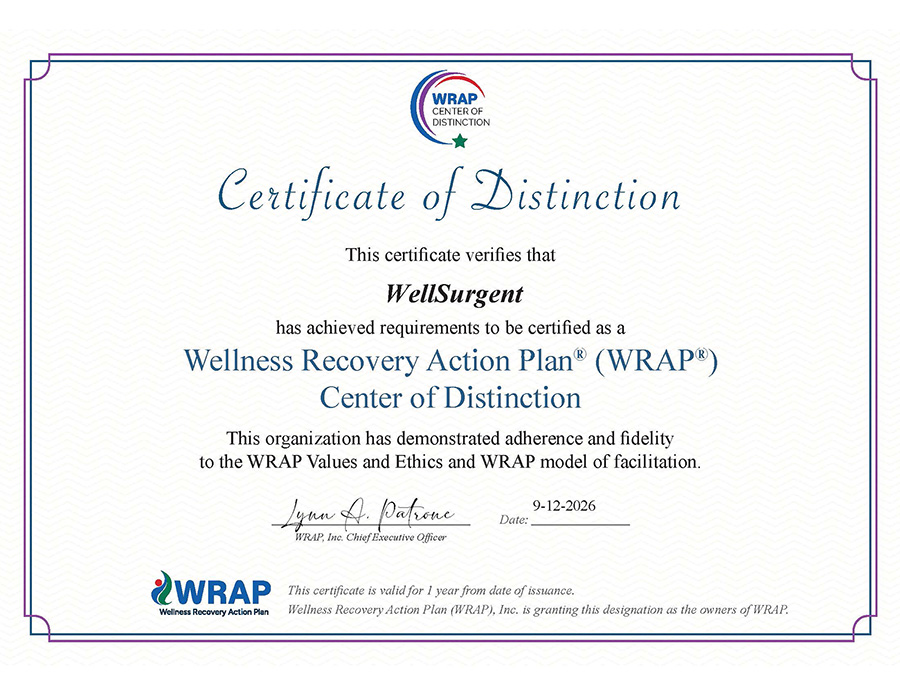 Official WellSurgent WRAP Center of Distinction certificate dated September 12, 2026.